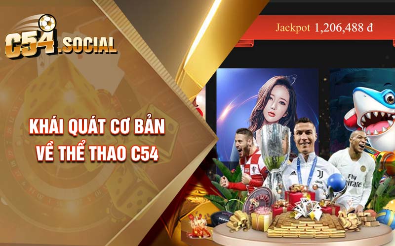 Khái quát cơ bản về thể thao C54