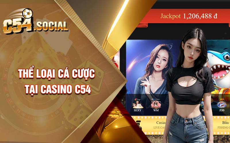 Thể loại cá cược tại casino C54