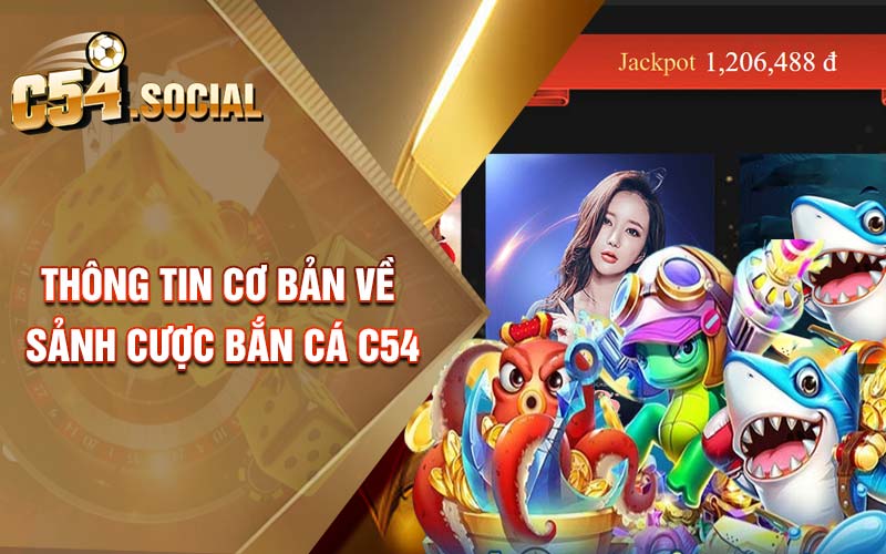 Thông tin cơ bản về sảnh cược bắn cá C54