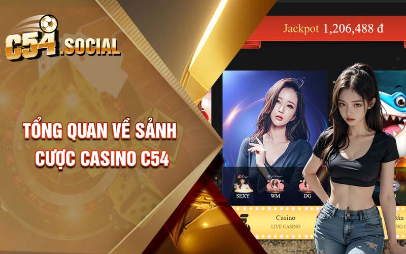 Tổng quan về sảnh cược casino C54